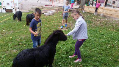 Klikni za ogled večje slike