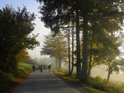 Klikni za ogled večje slike